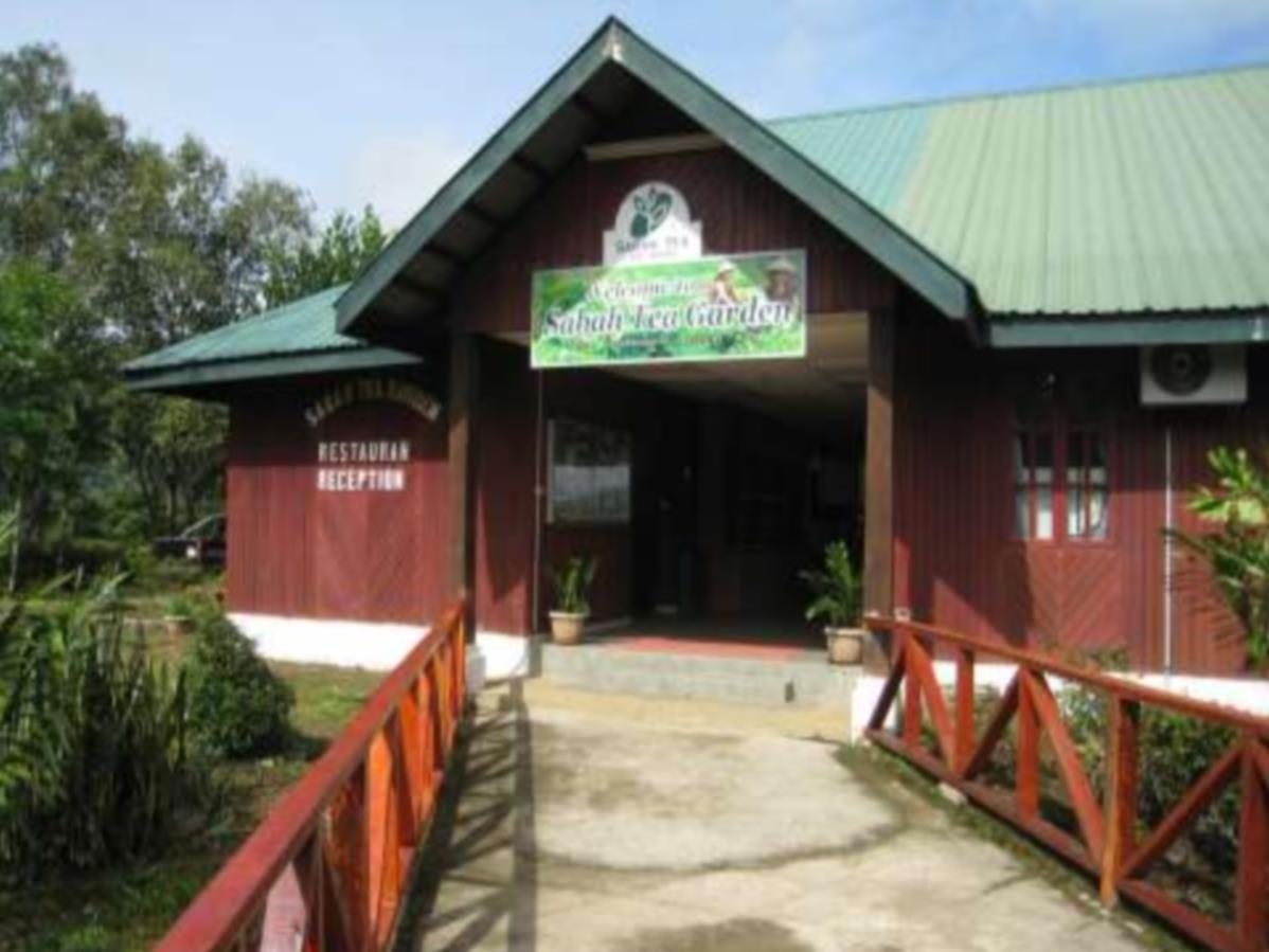 Sabah Tea Garden-Longhouses Ranau Exterior photo