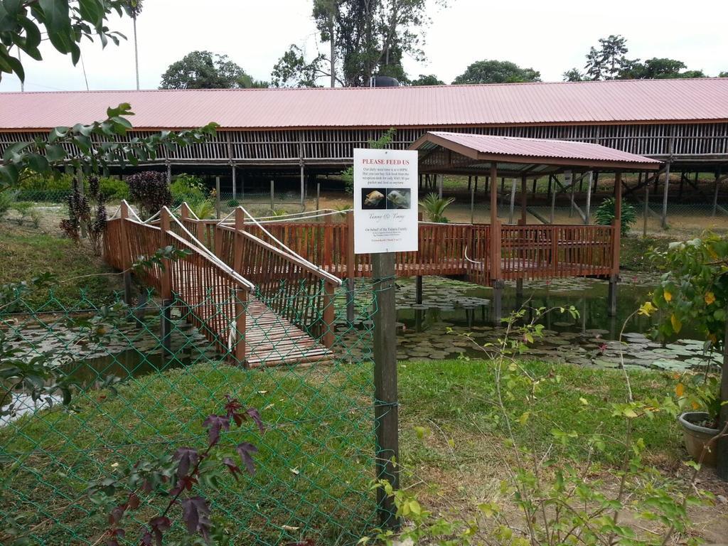 Sabah Tea Garden-Longhouses Ranau Exterior photo