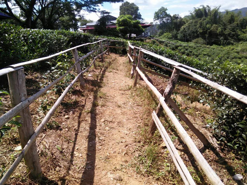 Sabah Tea Garden-Longhouses Ranau Exterior photo