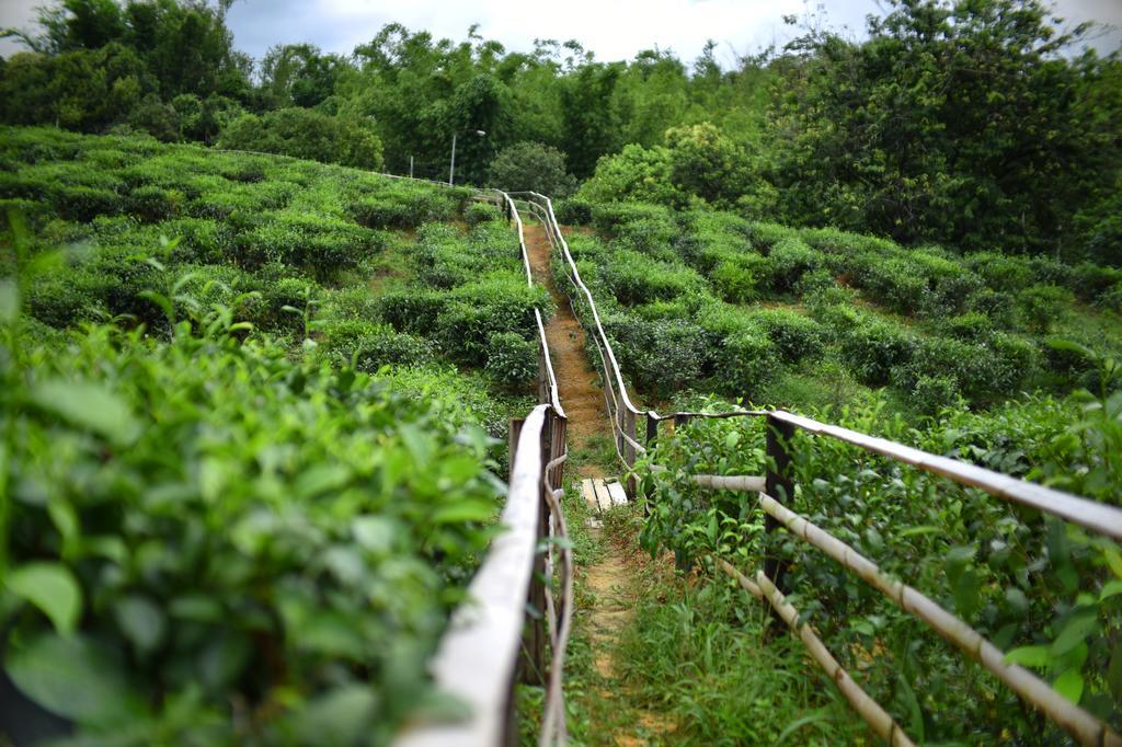 Sabah Tea Garden-Longhouses Ranau Exterior photo