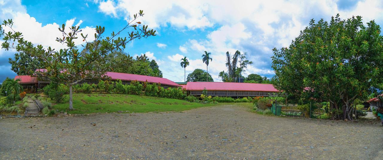 Sabah Tea Garden-Longhouses Ranau Exterior photo