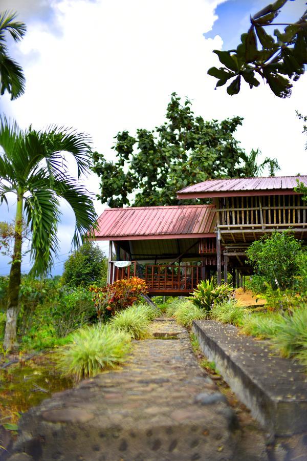 Sabah Tea Garden-Longhouses Ranau Exterior photo